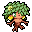 Sequoia