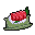 Sashimi